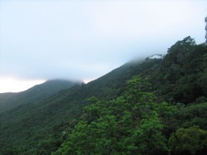 IMG_0967